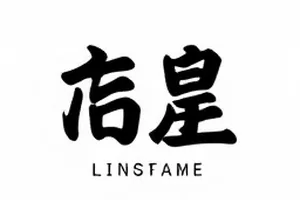 厨房里冒着热气的电饭煲与窗台绿植，用于《电饭煲里的春天》封面