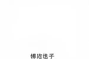 雾中码头与一封拆开的旧信件，用于《雾港来信》封面